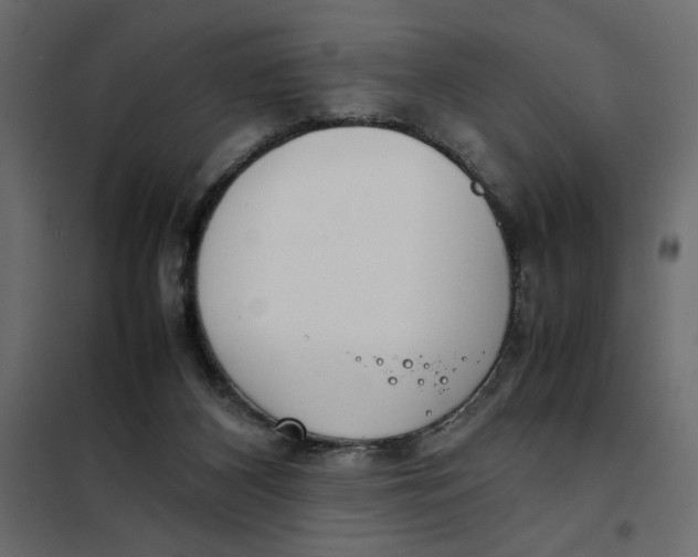 X0000101990116200808081645