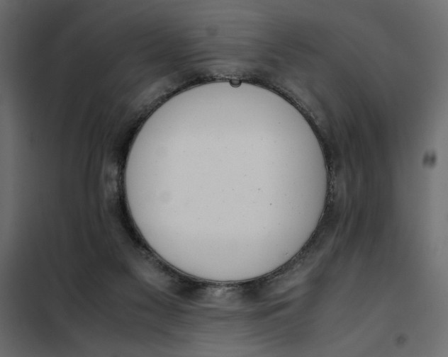 X0000101990117200808081645