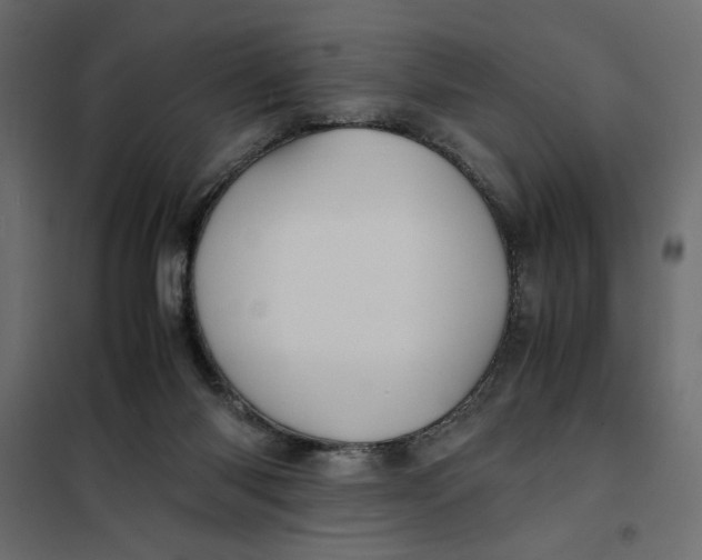 X0000101990118200808081645