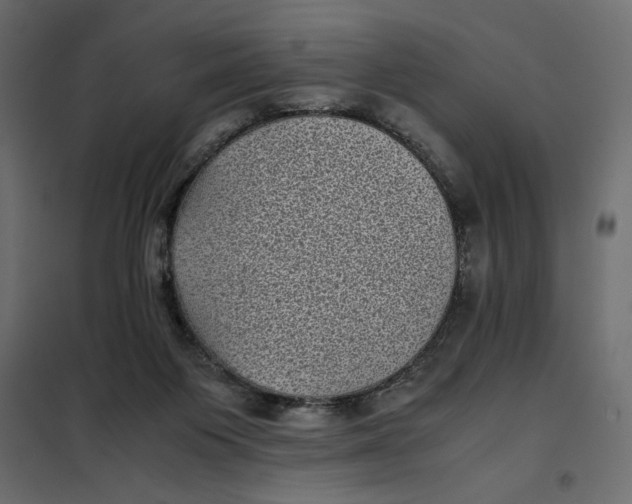 X0000101990119200808081645