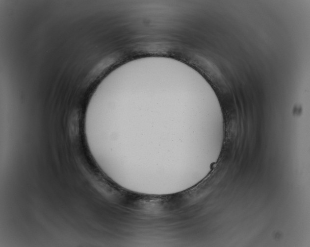 X0000101990120200808081645