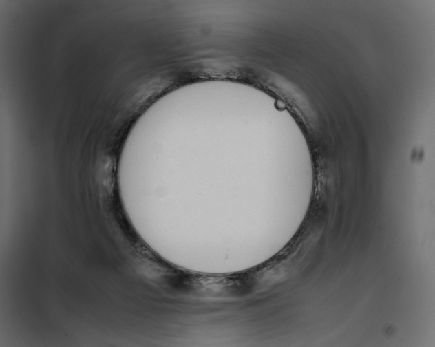 X0000101990121200808081645