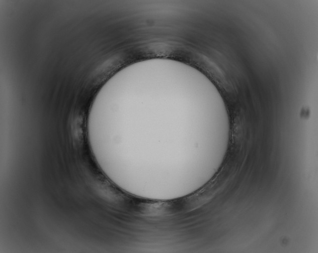 X0000101990122200808081645