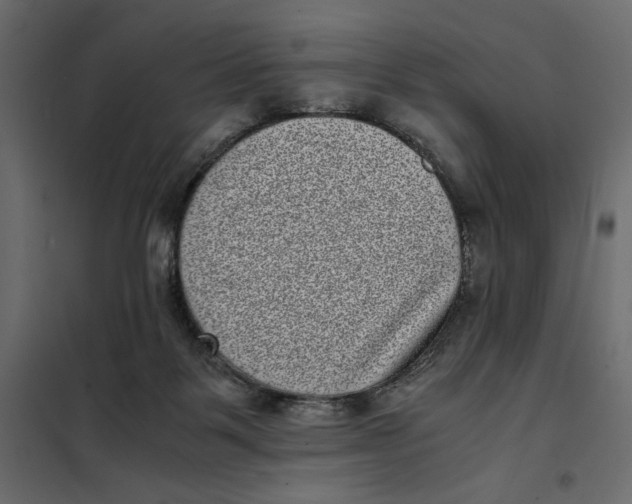 X0000101990123200808081645