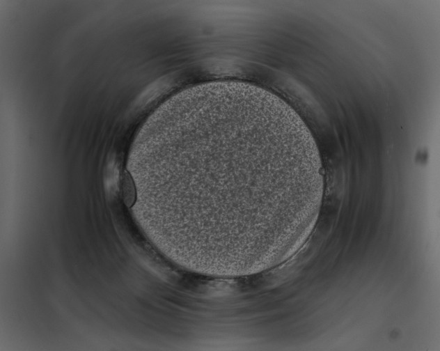 X0000101990124200808081645