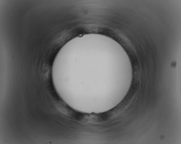 X0000101990125200808081645