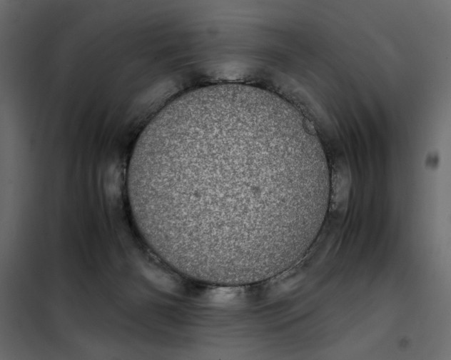 X0000101990126200808081645