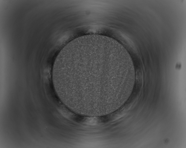 X0000101990127200808081645
