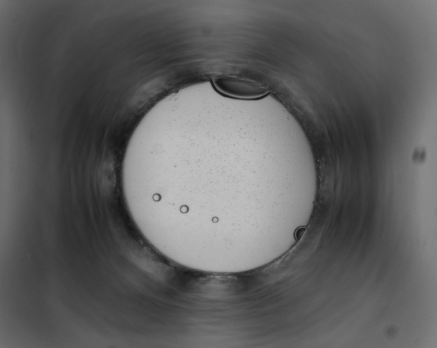 X0000101990128200808081645