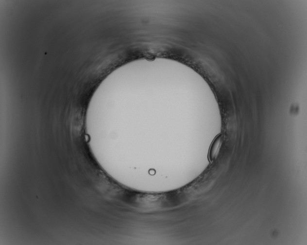 X0000101990129200808081645