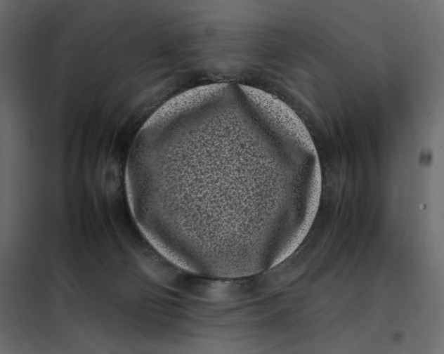 X0000101990130200808081645