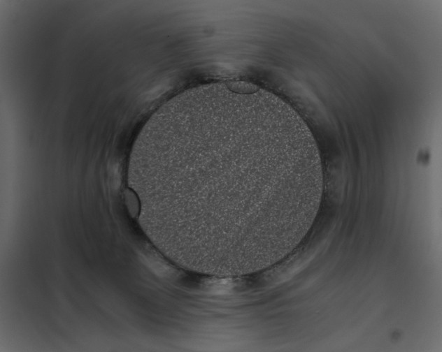 X0000101990131200808081645