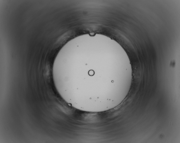 X0000101990132200808081645