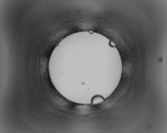 X0000101990133200808081645