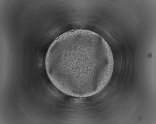 X0000101990134200808081645