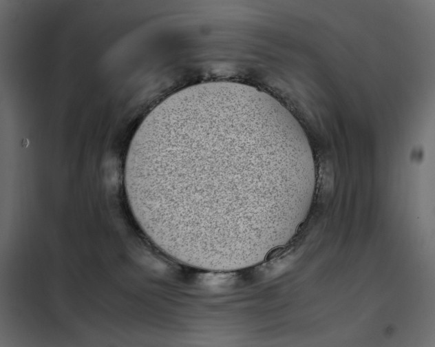 X0000101990135200808081645