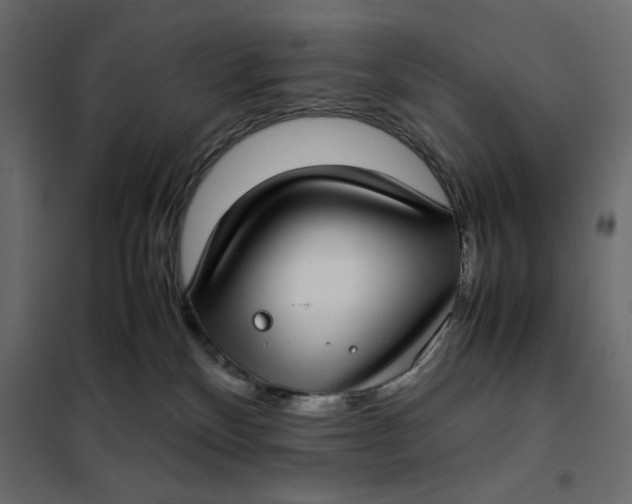 X0000101990136200808081645