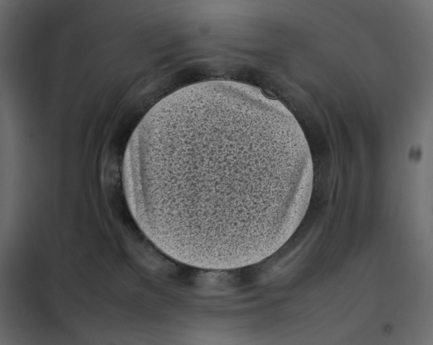 X0000101990137200808081645