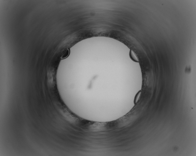 X0000101990138200808081645