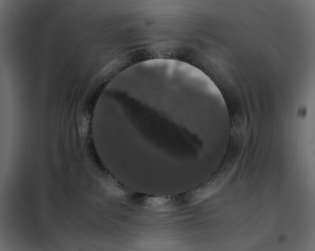 X0000101990139200808081645