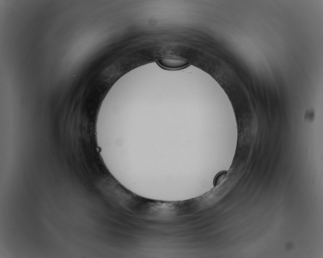 X0000101990140200808081645