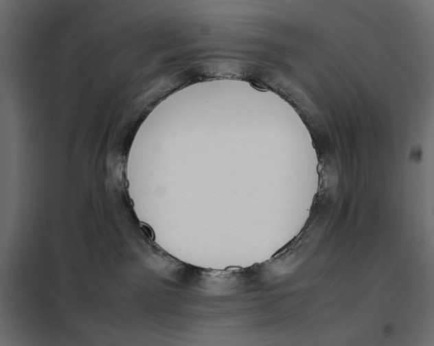 X0000101990141200808081645