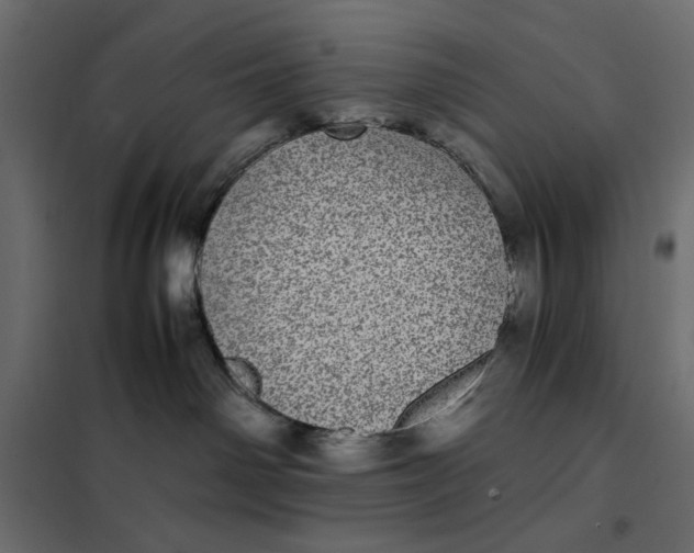 X0000101990142200808081645