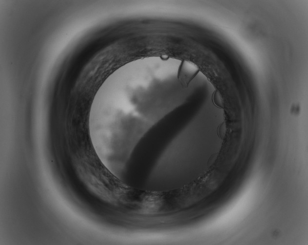 X0000101990143200808081645