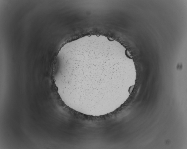 X0000101990144200808081645