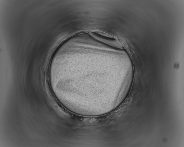 X0000101990145200808081644