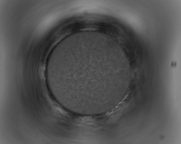 X0000101990146200808081644
