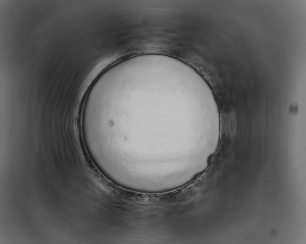X0000101990147200808081644