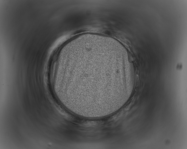 X0000101990149200808081644
