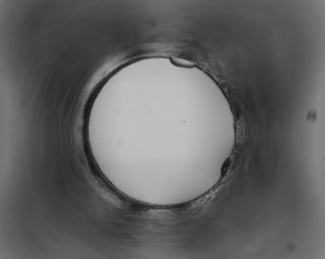 X0000101990150200808081644