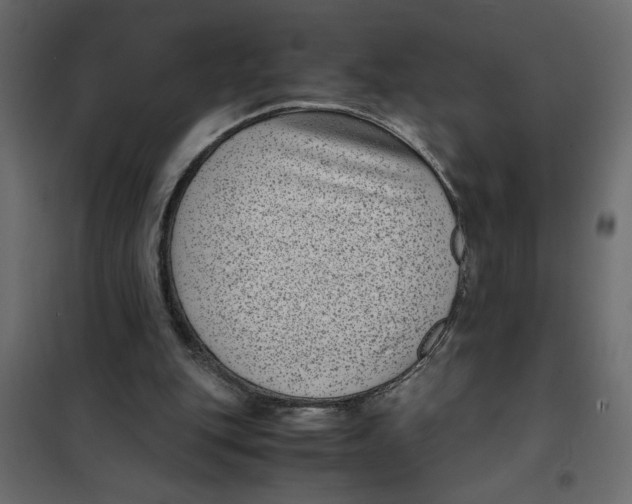 X0000101990151200808081644
