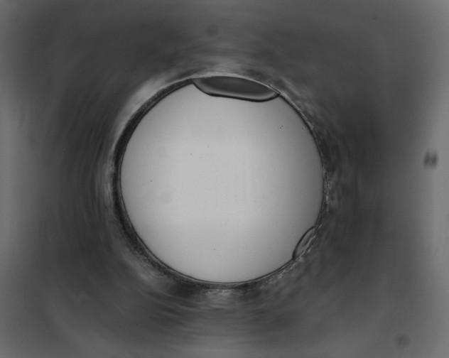 X0000101990152200808081644