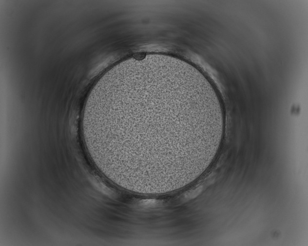 X0000101990153200808081644