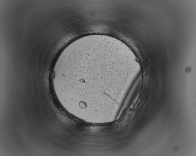 X0000101990154200808081644