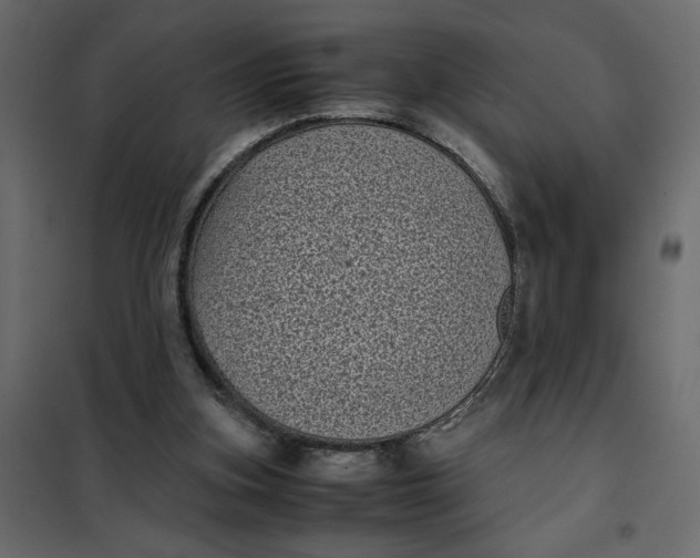 X0000101990155200808081644