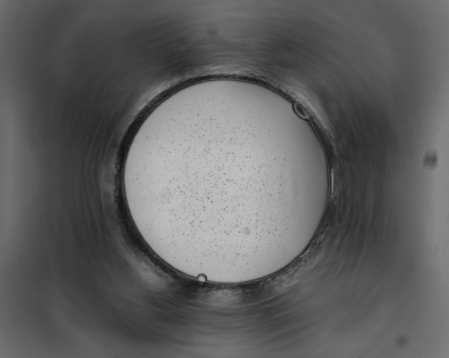 X0000101990156200808081644