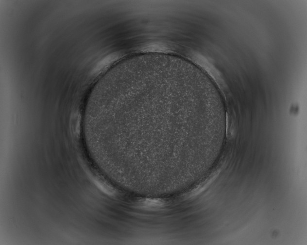 X0000101990157200808081644