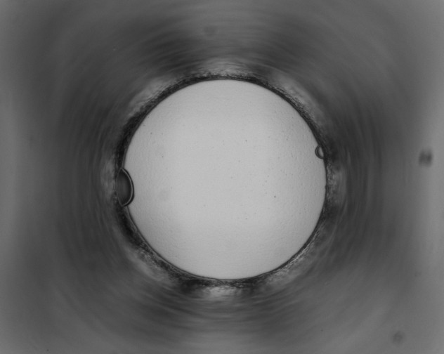 X0000101990158200808081644