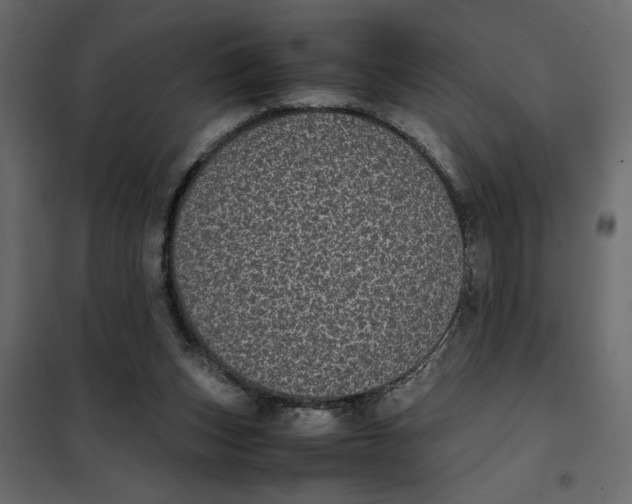 X0000101990159200808081644