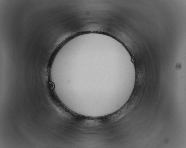 X0000101990160200808081644