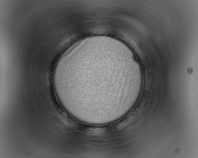 X0000101990161200808081644