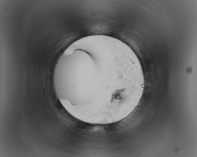 X0000101990162200808081644
