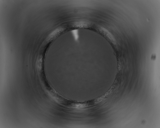 X0000101990163200808081644