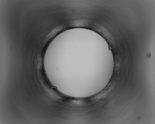 X0000101990164200808081644