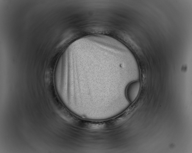 X0000101990165200808081644