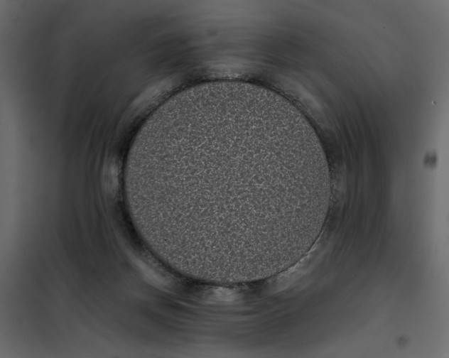 X0000101990166200808081644